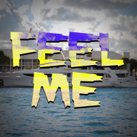 Feel Me - Full Cover cover